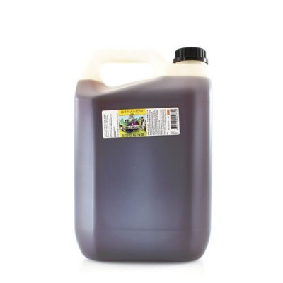 Esencja smakowa kanister Beskid Slivovitz 5000ml